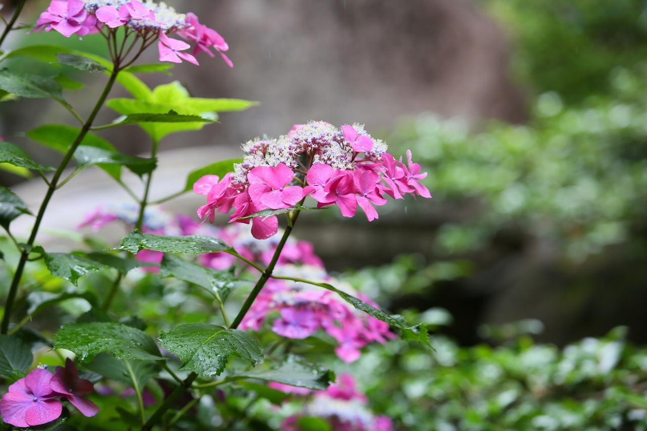 Zabo Hotel Koshu ภายนอก รูปภาพ